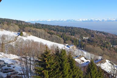 Centaure - Centaure .4