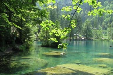 Am Lehn - Am Lehn .1