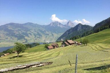 Guntern in Lauerz - Guntern in Lauerz .1