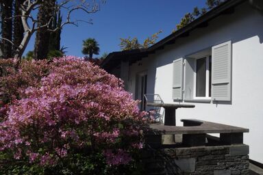 Ökohaus A, Schwimmbad, Garten und Ruhe - Ökohaus A, Schwimmbad, Garten und Ruhe .1