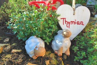 Schafbauernhof Berger - Wohnung  Thymian