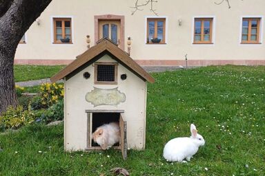Landhaus Appartement Seidenwebergut - Appartement 8