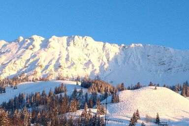Haus Petra - Ferienwohnung Nr. 3 (35qm) Südbalkon