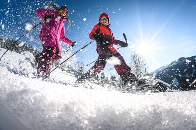 Appartments Höller - Ap./4 od mehr Schlafräume/Dusche, WC