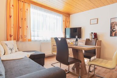 Mountain Apart - Appartement/Fewo, Dusche oder Bad, WC