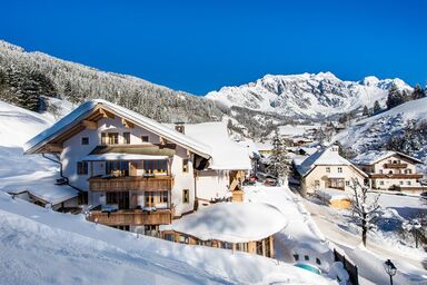 ALMHOF Alpin Apartments & Spa - Almsuite Large