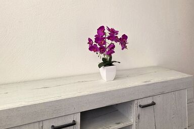 FeWo D`Rock Arosa 4 - nightlife lodge-adults only - FeWo D`Rock Arosa-4 - nightlife lodge - adults only