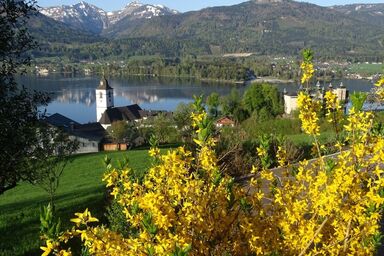 Altroiterhof - Ferienwohnung  Schafberg  mit Seeblick
