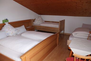 Payrhof - Familienurlaub am Bio-Bergbauernhof - Ferienwohnung Lammertal