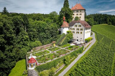 Appartement "Schloss Heidegg" mit Bergblick