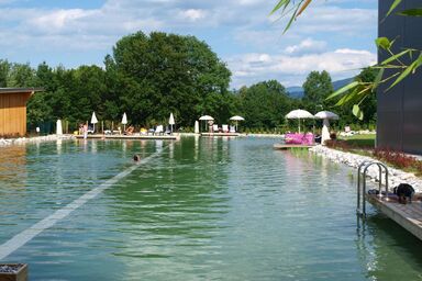 Ferienhaus Claudia in Feistritz im Rosental