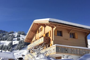 Butterfly 4-Zimmerwohnung