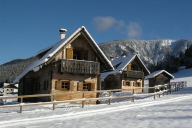 Feriendorf Lassing-Hochkar - Ferienhaus 3 (50qm) mit Kachelofen