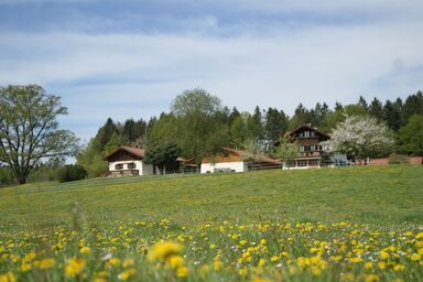 Ferienhaus Axmann - Ferienhäuschen mit 55 qm bis max. 6 Personen