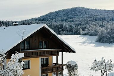 Ferienwohnungen Leithenwald - Ferienwohnung Falkenstein mit 2 Schlafzimmer mit je Dusche/WC