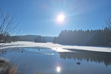 Landhaus Altweck - Ferienwohnung Woidblick