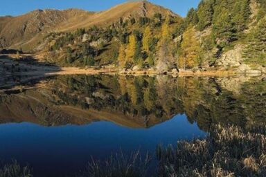 Typ B - für 2 bis 4 - Typ B - für 2 bis 4 .1