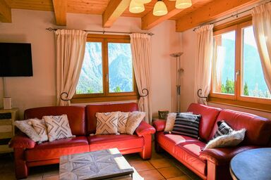 Ecureuil noir - Ecureuil noir .1