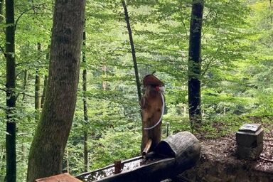 La Ferme - La Ferme .1