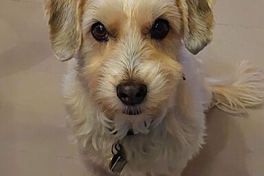 Chalet Aebnit - Chalet Aebnit .1