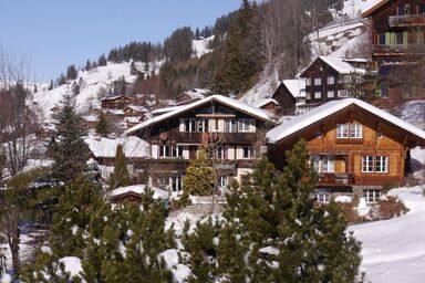 Chalet Birkli - Chalet Birkli .1