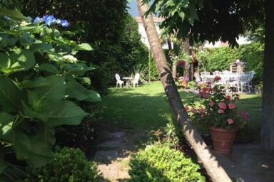 Casa Viola - Casa Viola .1