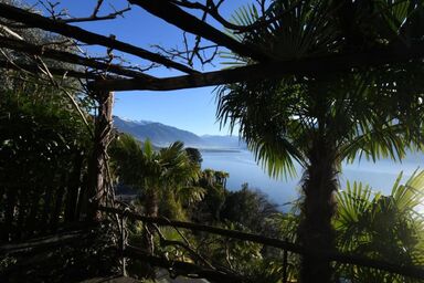 Casa Leula - Casa Leula .1