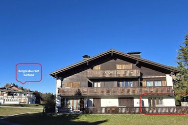 Culmoina - Culmoina .1