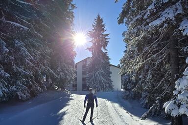 Belmont Seegarten - Belmont Seegarten .1