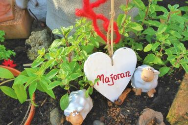 Schafbauernhof Berger - Wohnung Majoran