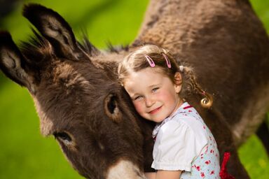 Erlebnisbauernhof Steinerhof in Kärnten - Fewo Panoramablick 65 m²