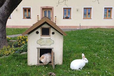 Landhaus Appartement Seidenwebergut - Appartement 5