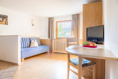 Prechtlhof in Flachau - Appartement "Gartenblick"