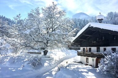 Demeterhof Knolln - Einzelzimmer, Dusche, WC