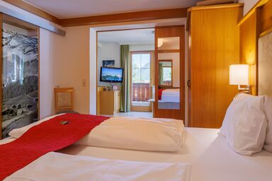 Aparthotel Das Hochkönig - App. 105 - 1 Schlafraum, Wohnküche, Bad