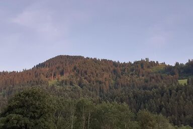 Wildenbach - Ferienwohnung Wildenbach