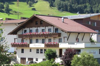 Appartements Alpenhof - Studio, Dusche, WC, gartenseitig