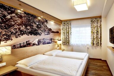 Hotel Grüner Baum - Apartment/1 Schlafraum/Dusche od. Bad,WC