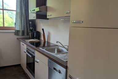 Bachbauer am Attersee - Ferienwohnung Schafberg