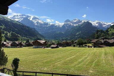 Appartement "Chalet Steinbock"