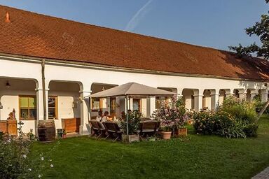 Weingut Genießerhof Bohrn - FEWO "Weingartenblick"