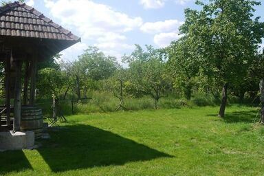 Weinbau - Camping - Gästezimmer Ettenauer - Hofsuite
