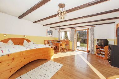 Haus in der Loferau - Ferienwohnung 5 -  50 m² für 2-3 Personen, 1 großer Wohn-Schlafraum, sep. Küche