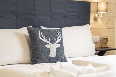 Chalets Inzell - Chiemgau Karte - Chalet 12 mit Sauna und Sommerpool für max. 6 Personen