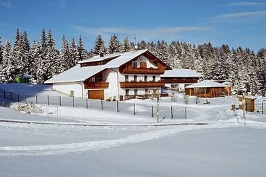 Haus Spannbauer-Pollmann - Ferienwohnung Plöckenstein