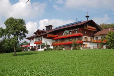 Berghof Plenk Pension und Ferienwohnungen - Mehrbettzimmer mit kostenfreiem WLAN