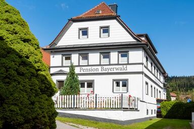 Pension Bayerwald - WieDahoam