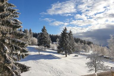 Ferienwohnung Mia - Ferienwohnung Mia (38qm) mit Balkon