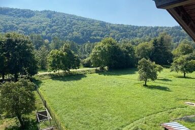 Ferienwohnung Elip - Ferienwohnung (61qm) mit Gartenblick
