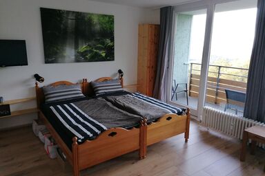Ferienwohnung Fernblick Bayerischer Wald - Ferienwohnung N 170 (38qm) mit Balkon
